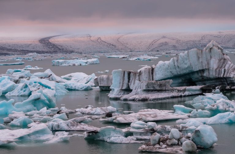 Journée de la Terre 2022 : La lutte contre le réchauffement climatique
