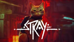 Jeu video Stray