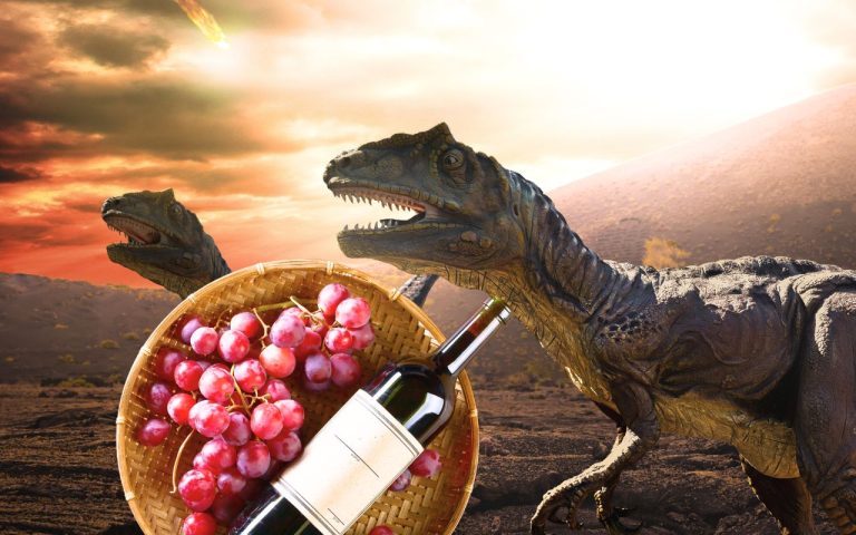 L&rsquo;extinction des dinosaures a semé les graines des premiers vignobles, bouleversant notre histoire du vin