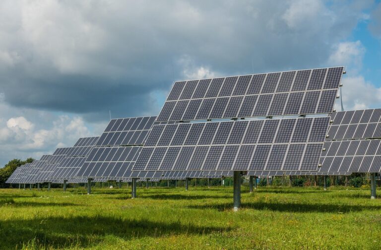« Ces moutons n&rsquo;ont jamais été aussi heureux » : la surprenante alliance entre fermes solaires et troupeaux affamés qui envahit les États-Unis