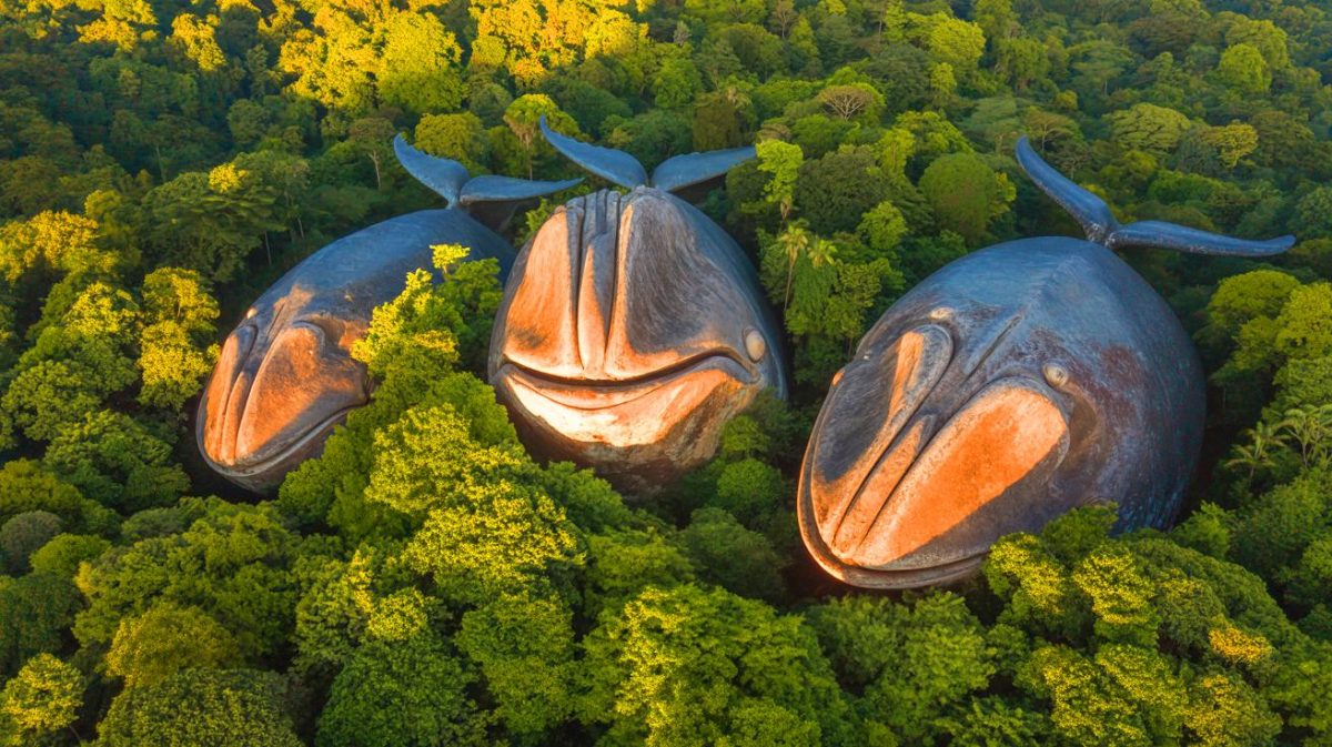 Les mystères des baleines de pierre émerveillent « Ces créatures m’étonnent chaque jour » au cœur des forêts Illustration de la Roche des Trois Baleines dans le parc forestier de Phu Sing en Thaïlande.