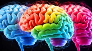 Adolescence prolongée : notre cerveau continue de se développer jusqu’à 32 ans, découvrez les étapes clés de cette évolution Illustration de la cartographie du développement cérébral humain à travers différentes phases de la vie.
