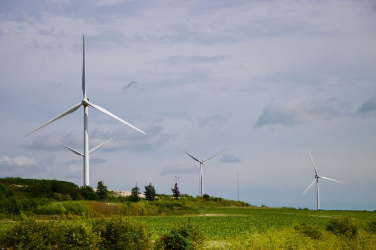 La technologie au service de l’écologie et du développement durable