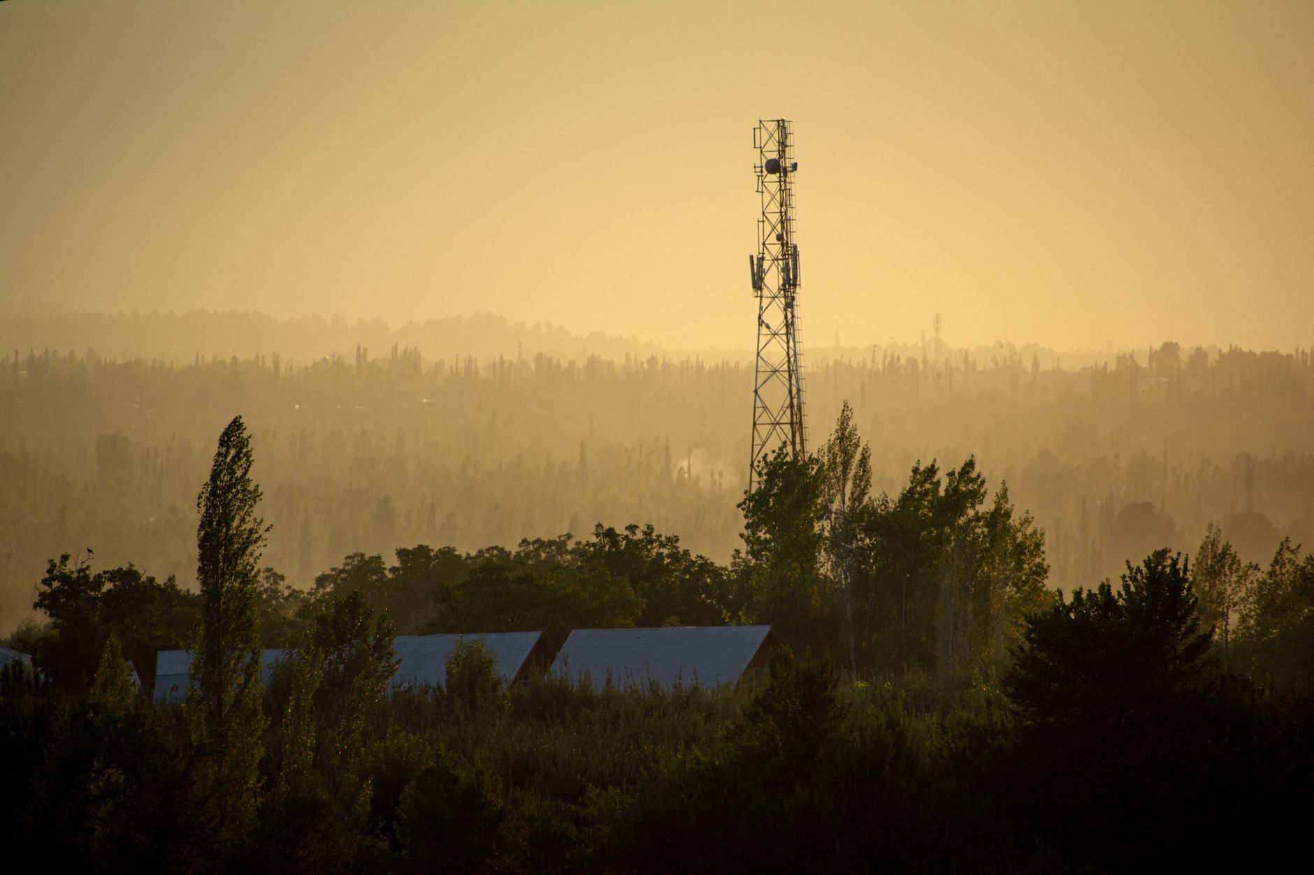 Antenne de télécommunications s’élevant au-dessus d’arbres et de toits dans une brume dorée.